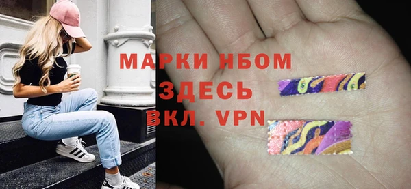 ПСИЛОЦИБИНОВЫЕ ГРИБЫ Алексин