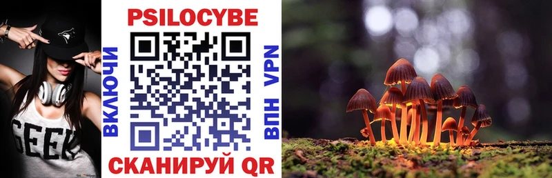 hydra как зайти  Морозовск  Галлюциногенные грибы прущие грибы 